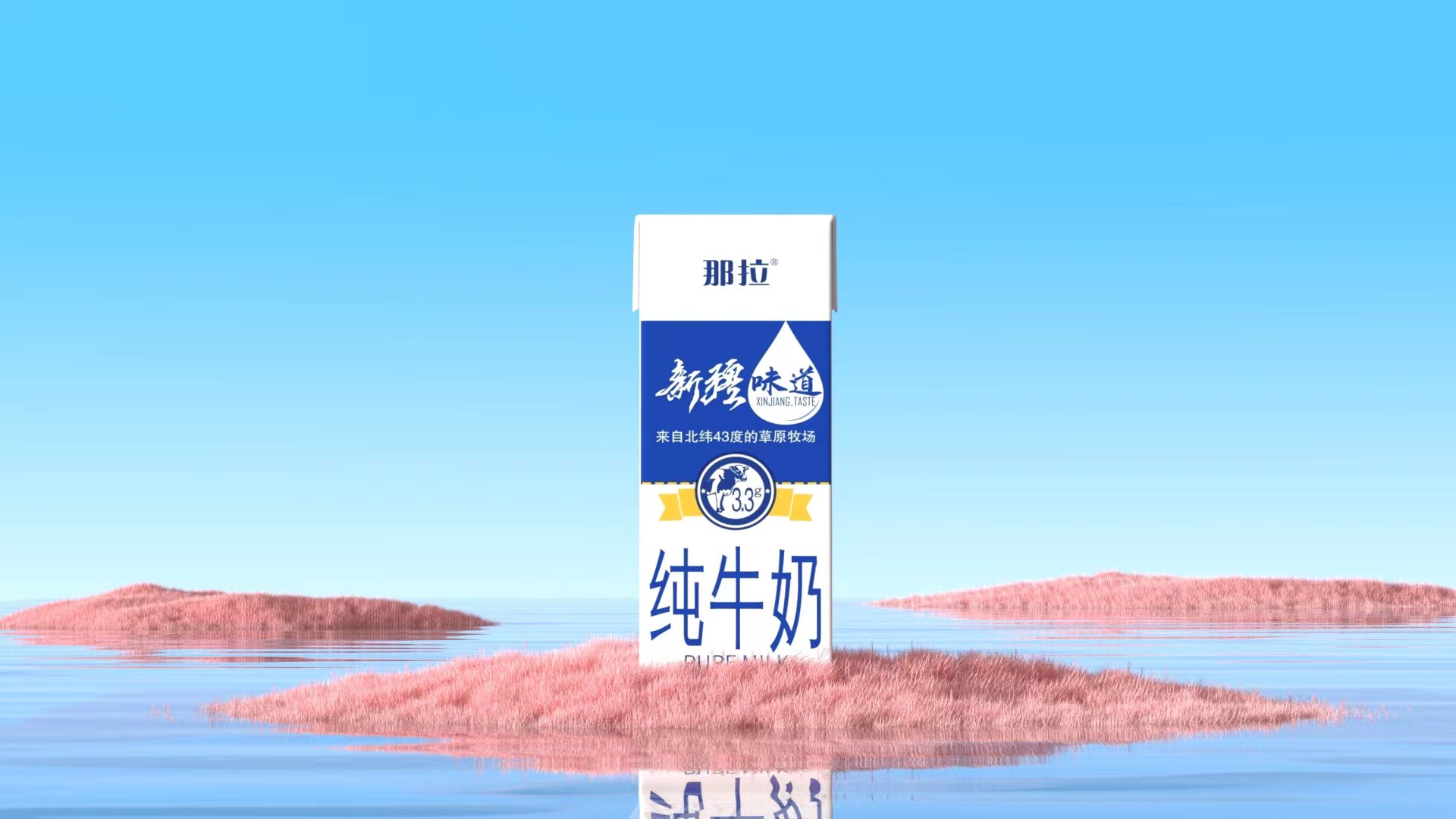 【上新了！】新品快來看看吧！